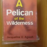 A PELICAN OF WILDERNESS