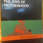 THE JOYS OF MOTHERHOOD