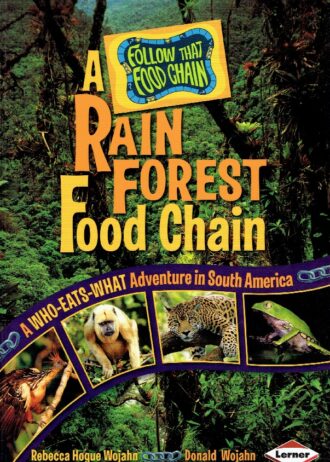 a rain forest food chain 001