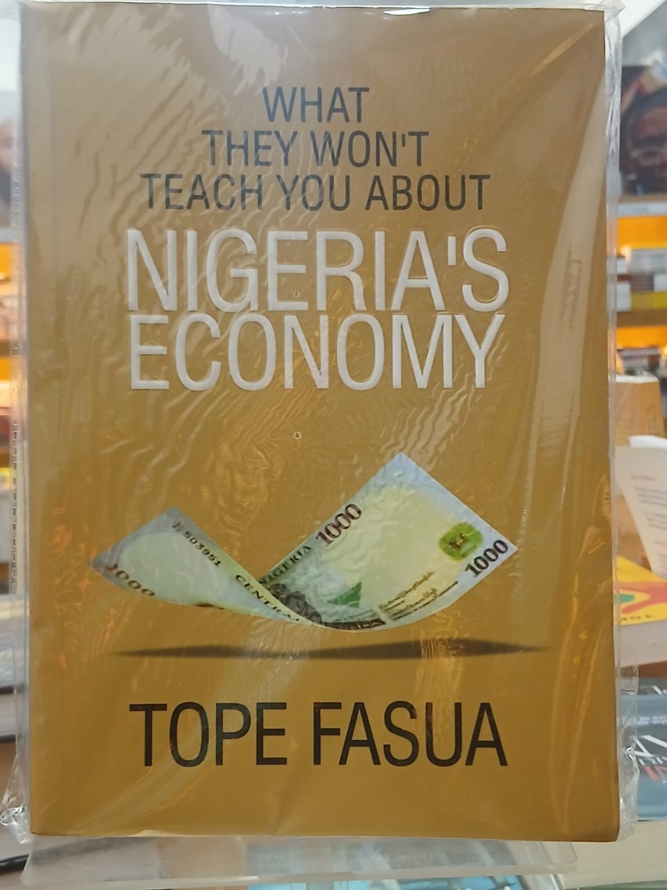 WHAT THEY WON’T TEACH YOU ABOUT NIGERIAN’S ECONOMICS